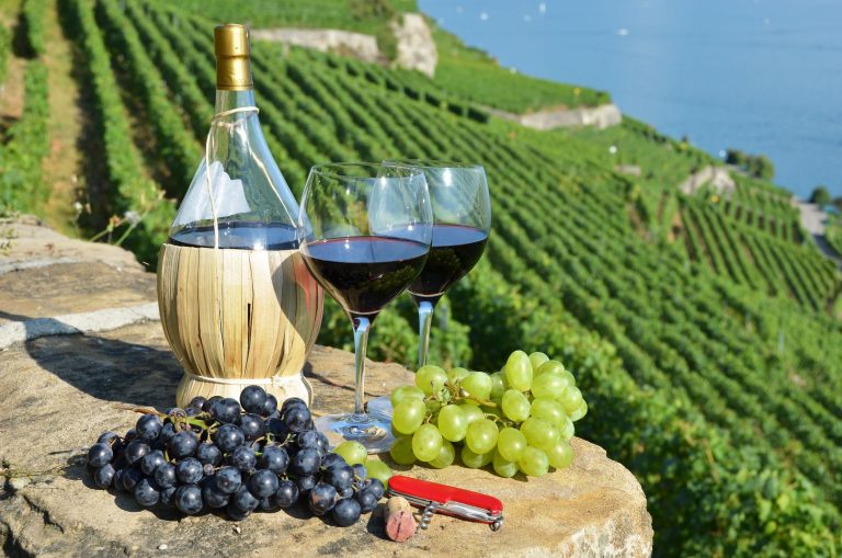 Explore the Scenic Vineyards of Clarksburg CA