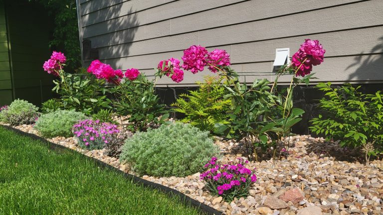 Oahe Landscapes Offers Top-Tier Landscaping Rapid City Solutions