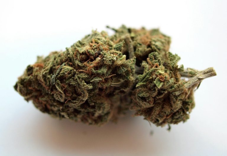 Private Spaces for Cannabis Enthusiasts