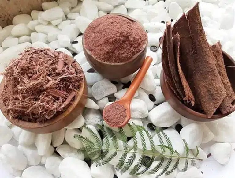 Why Natural Dyes Trusts Mimosa Hostilis for Long-Lasting and Vibrant Natural Dye Results