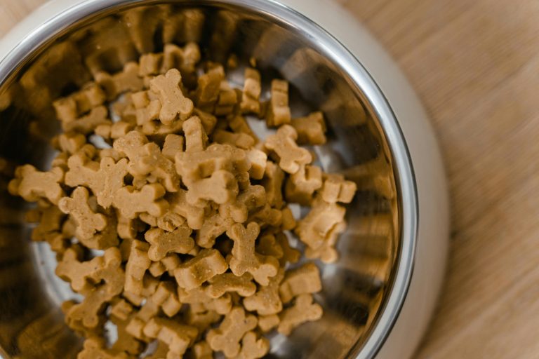 Where to Buy Badlands Ranch Dog Food Canada Online