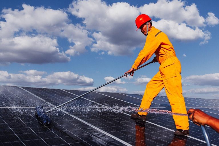 Expert Solar Panel Bird Proofing Fort Worth – Protect Your Investment