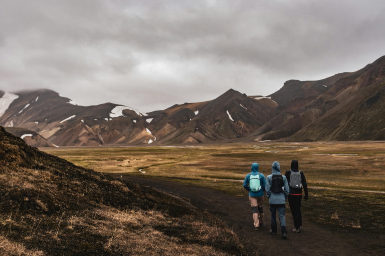 Torres del Paine Weather: What to Expect Year-Round